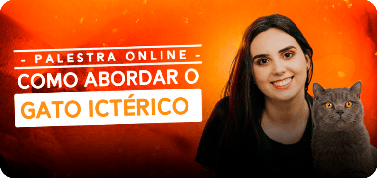 Banner Gato ictérico