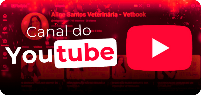 banner canal do yt